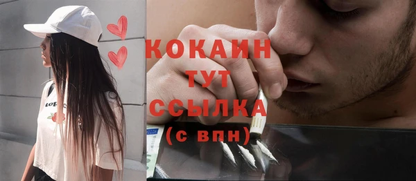 мет Лагань