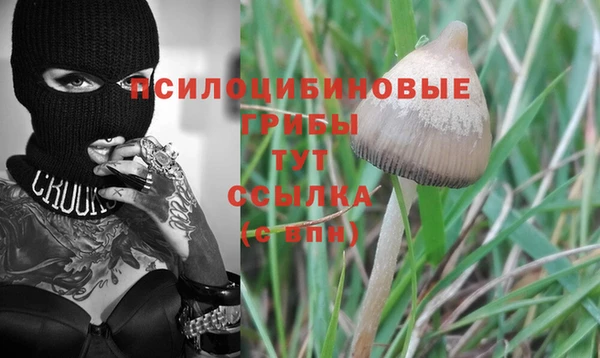 мет Лагань