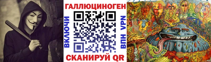 Псилоцибиновые грибы Psilocybe Красный Кут